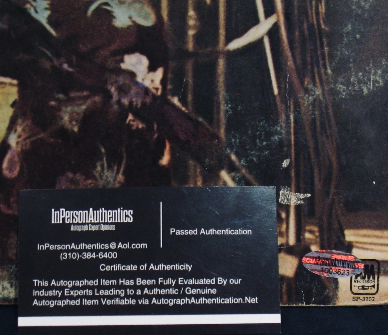 NILS LOFGREN • Signed NIGHT AFTER NIGHT Album~With Hologram/COA~E STREET BAND, изображение 5