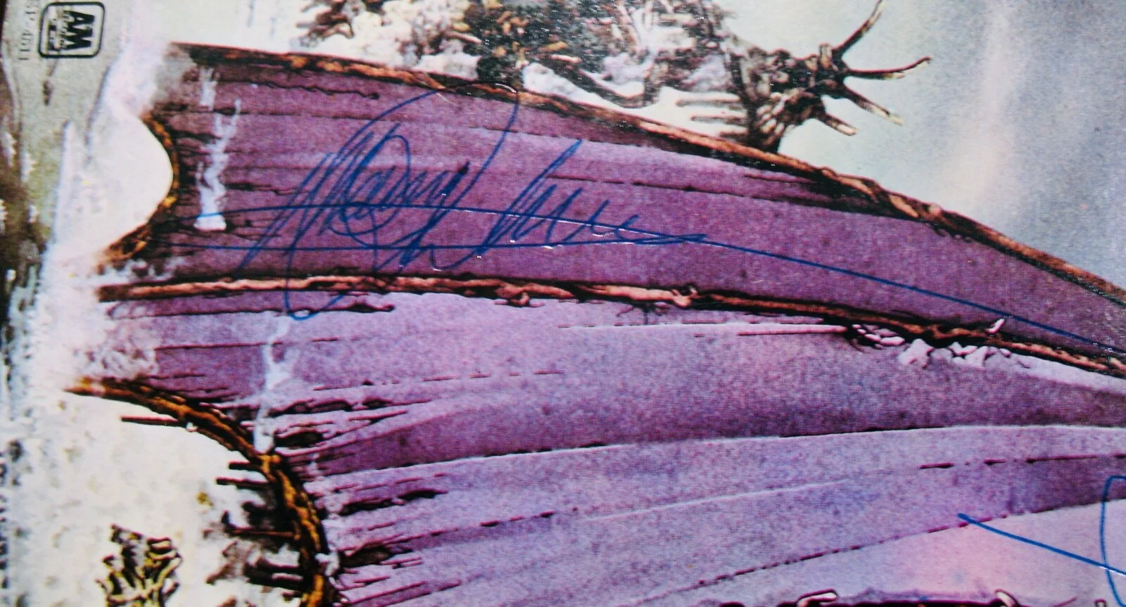 NAZARETH~Signed HAIR OF THE DOG By Dan, Manny & Darrell~With (Epperson-REAL) Coa, image 5