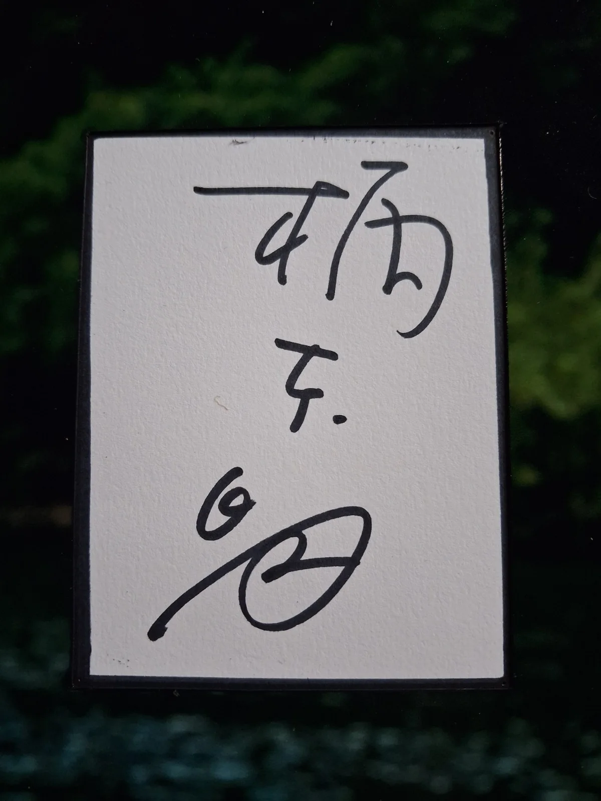 AKIRA EMOTO - RENTAL FAMILY & ZATOICI - Genuine hand signed autograph 8x10 photo, изображение 2