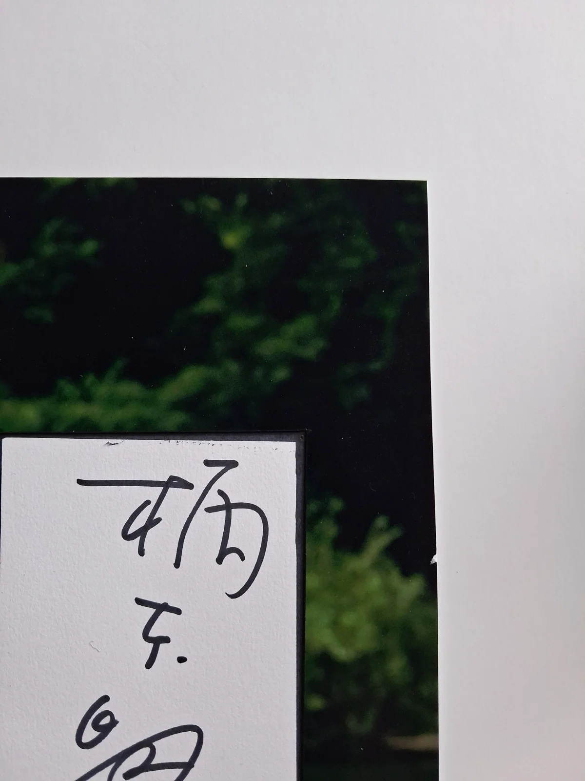 AKIRA EMOTO - RENTAL FAMILY & ZATOICI - Genuine hand signed autograph 8x10 photo, изображение 5