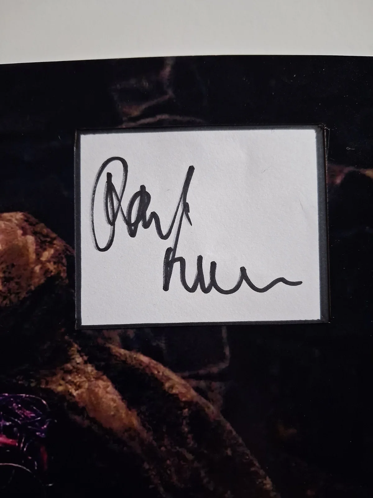 PAUL FREEMAN in POWER RANGERS Genuine hand signed autograph 8x10 photo, изображение 2