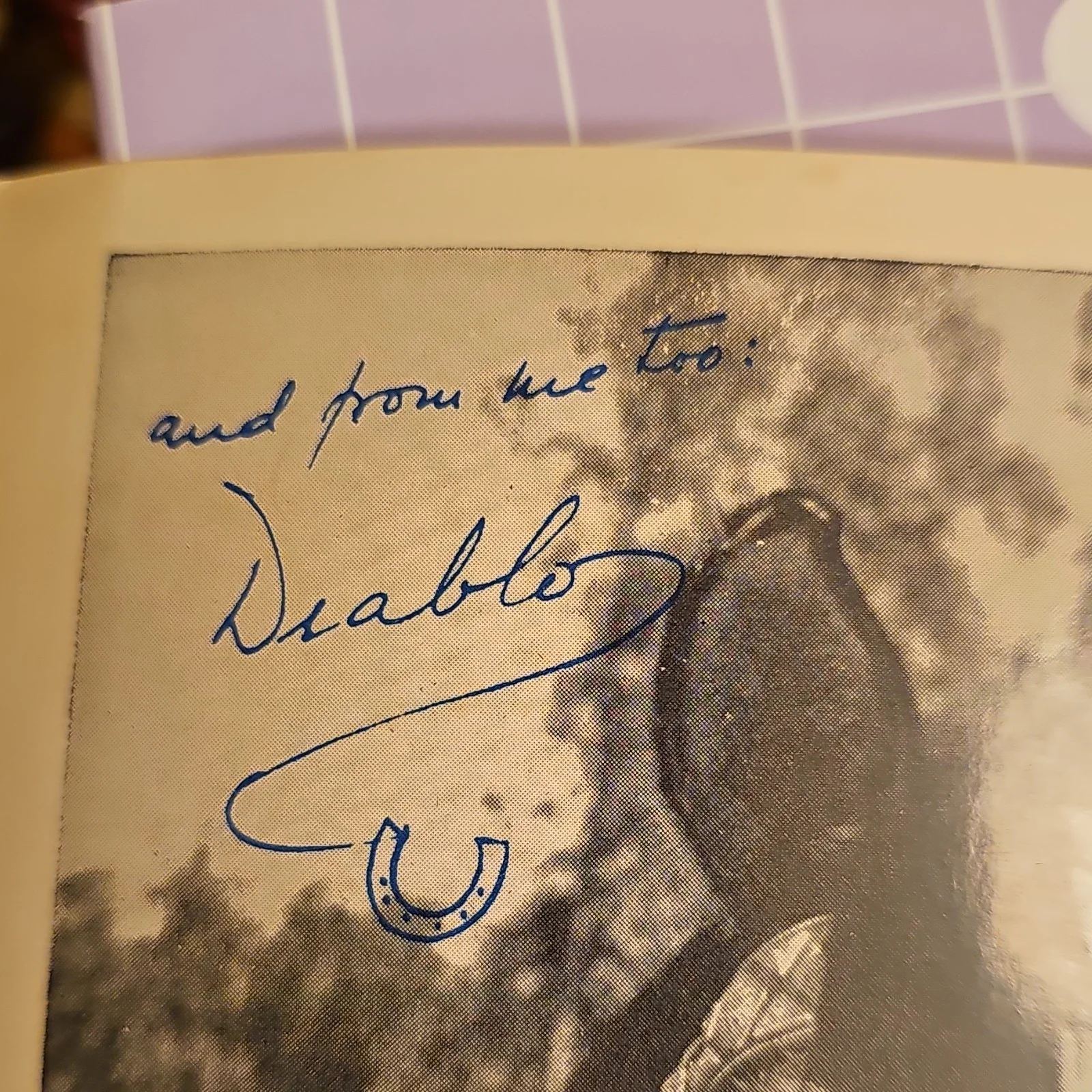Duncan Renaldo, Diablo — Cisco Kid 1953 Original Signed Photo Duncan Renaldo & Diablo Autograph, image 5