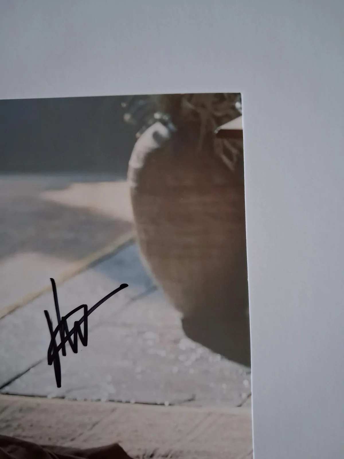 PHOEBE CAMPBELL in HOUSE OF THE DRAGON Genuine hand signed autograph 8x10 photo, изображение 5