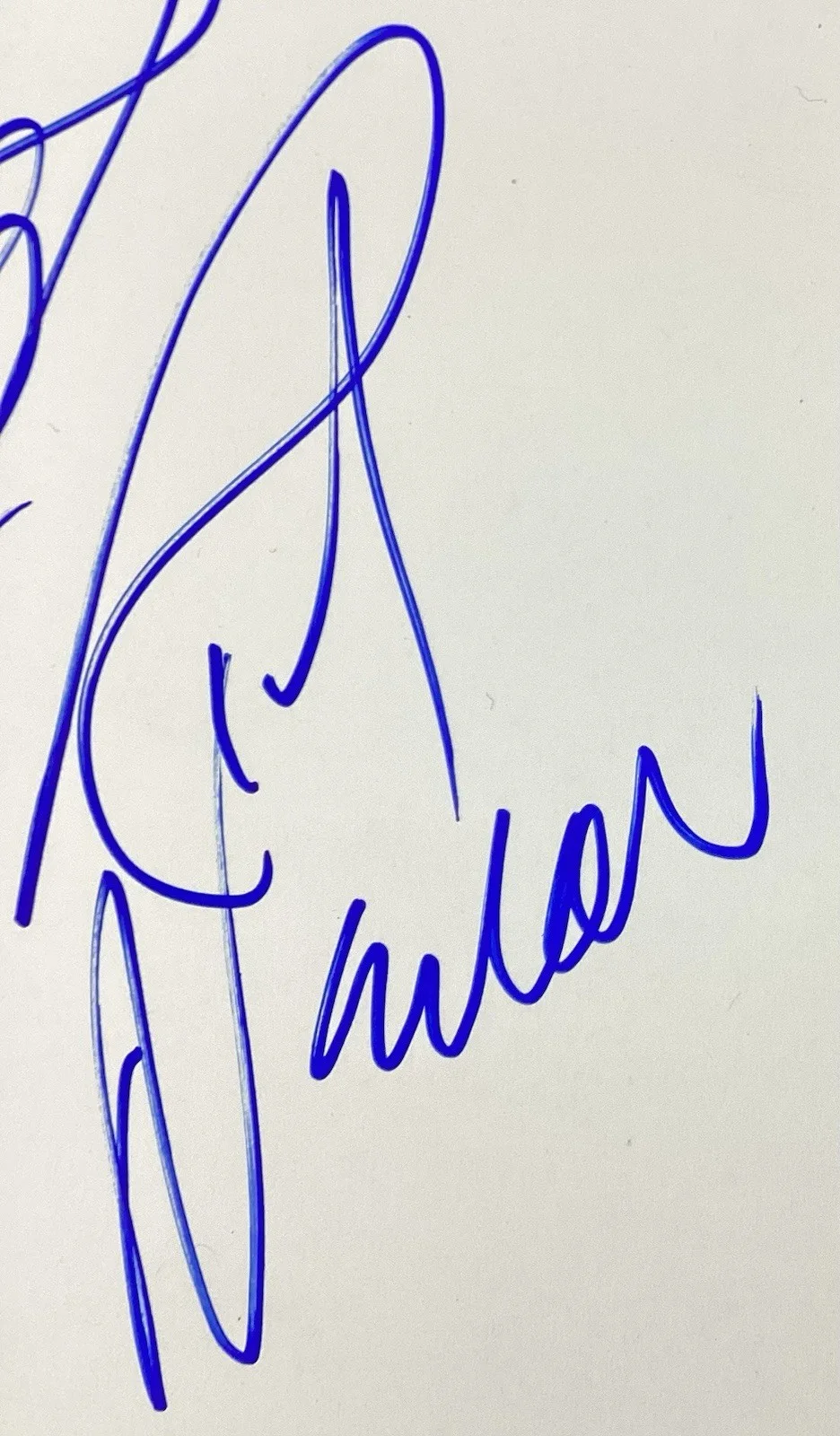Cheap Trick Signed Sheet Nielsen Zander Petersson + Sketch Rock Music Auto JSA, image 4