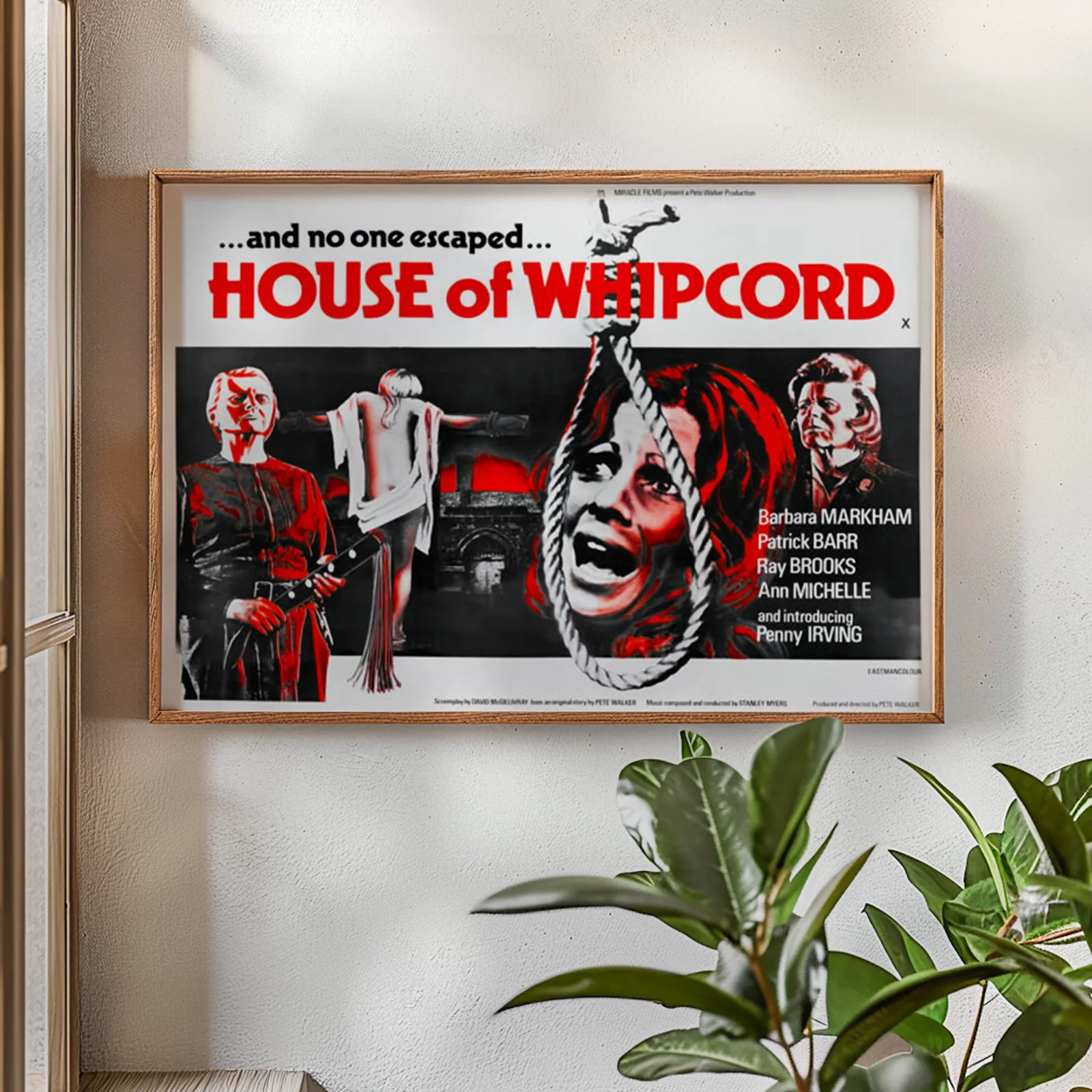 House Of Whipcord - 1974 Horror / Drama - Restored 40" x 30" UK Quad, изображение 2