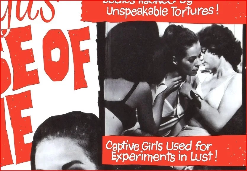 Olga's House Of Shame 1964 - Exploitation Restored 27.2" x 41" US One Sheet, image 4