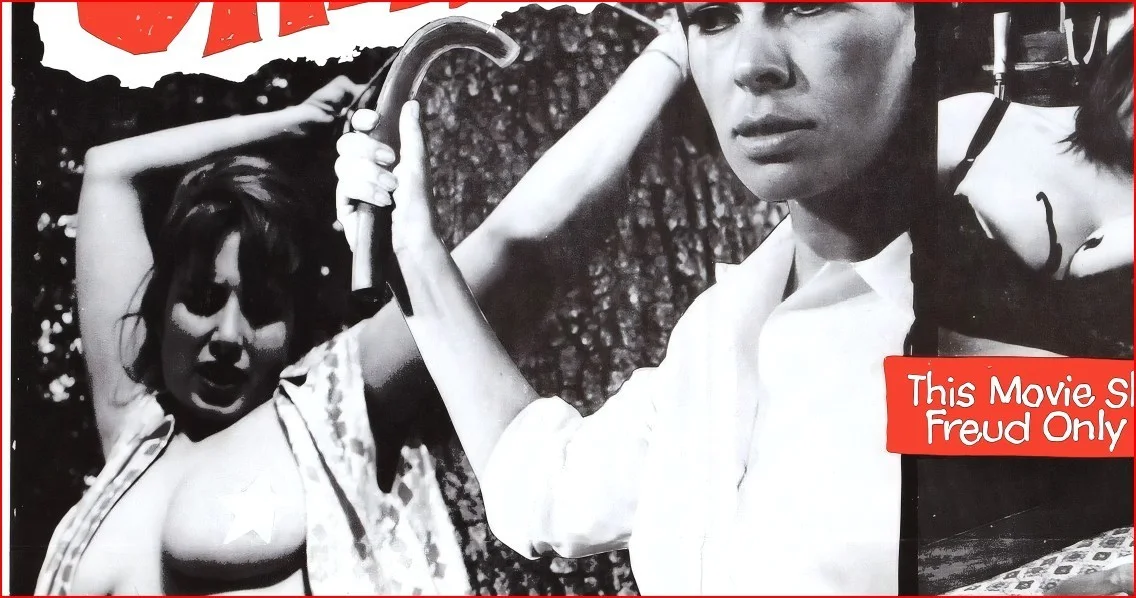 Olga's House Of Shame 1964 - Exploitation Restored 27.2" x 41" US One Sheet, image 5