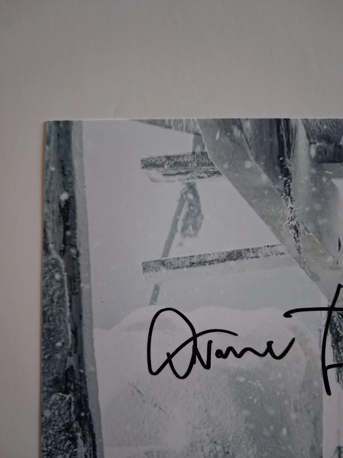 OWEN TEALE in GAME OF THRONES Genuine hand signed autograph 8x10 photo, изображение 5