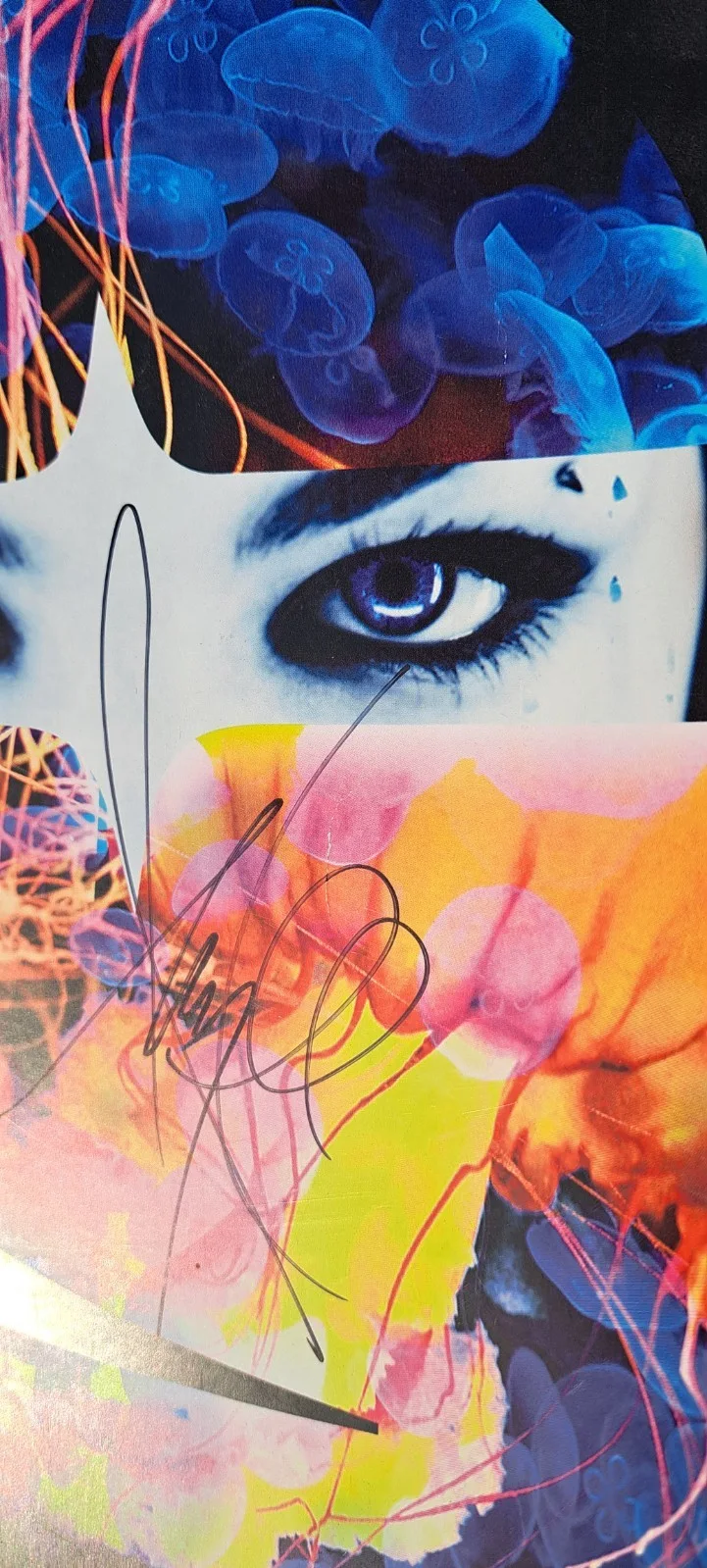 Rare VIP Merch Item by Evanescence: Poster Signed by Amy Lee (Photo Proof), image 2