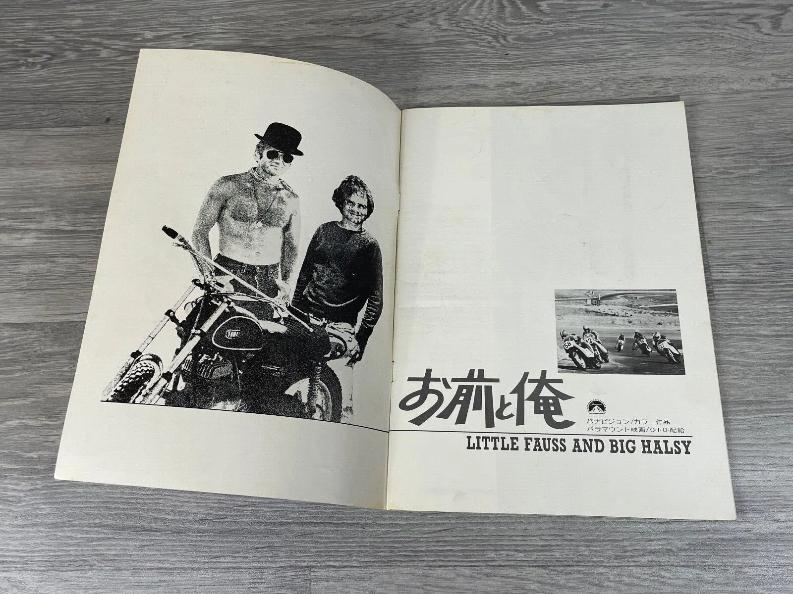 Little Fauss And Big Halsy, Dirt Bike Motocross Vintage 1970 Film Book,, изображение 3