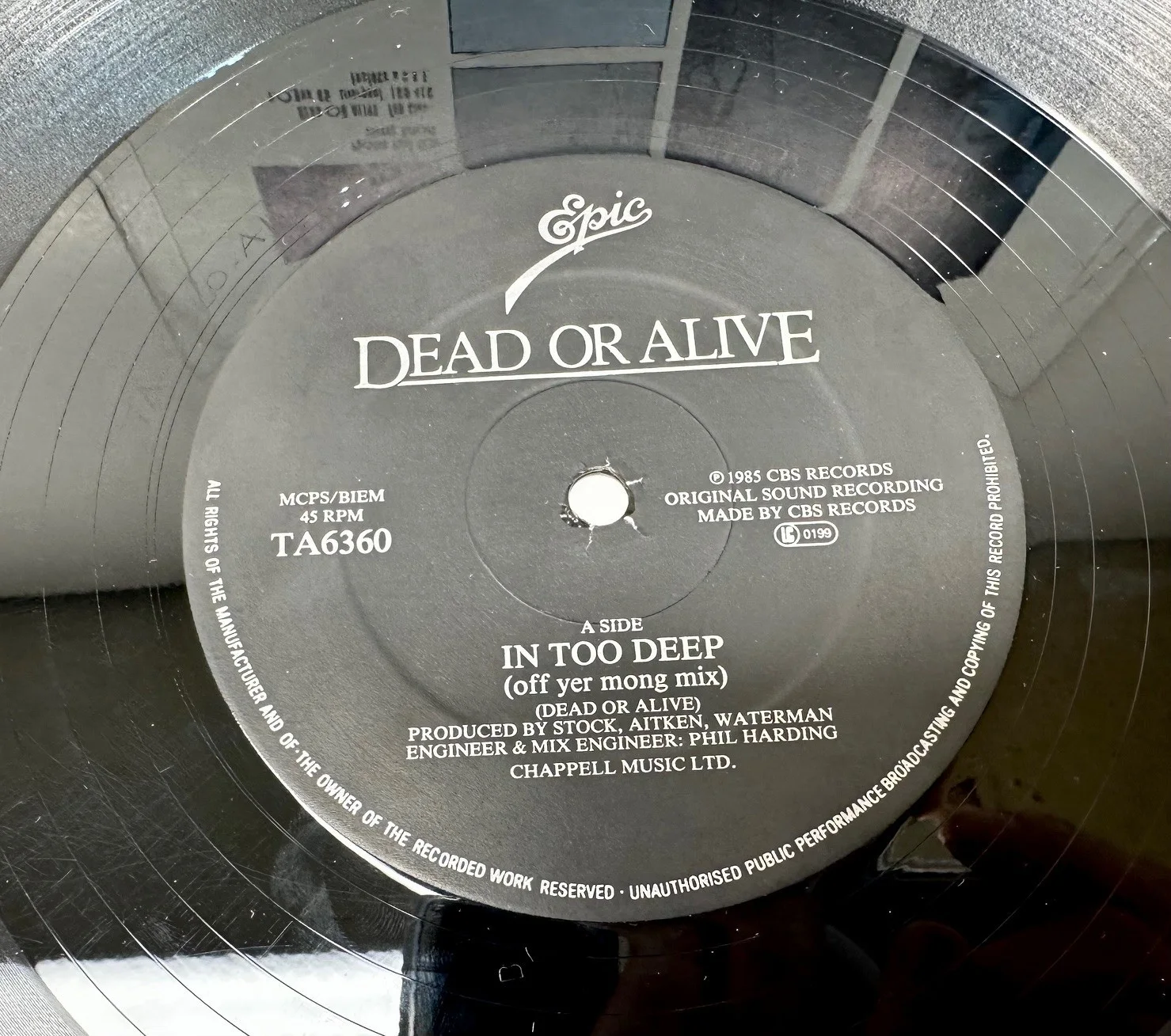 1985 Dead Or Alive "In Too Deep" 12" Single Signed By 4 Pete Burns + Band, image 5
