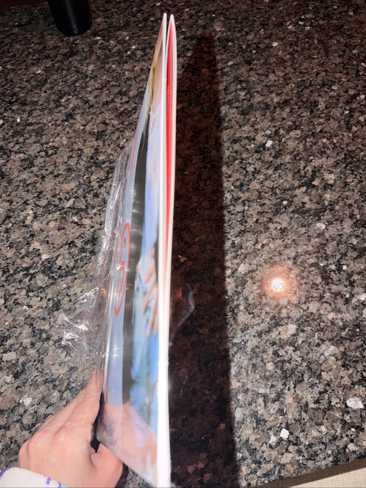 Slayyyter Signed Worst Girl In America Vinyl Autograph In Person Cover Urban NYC, изображение 5