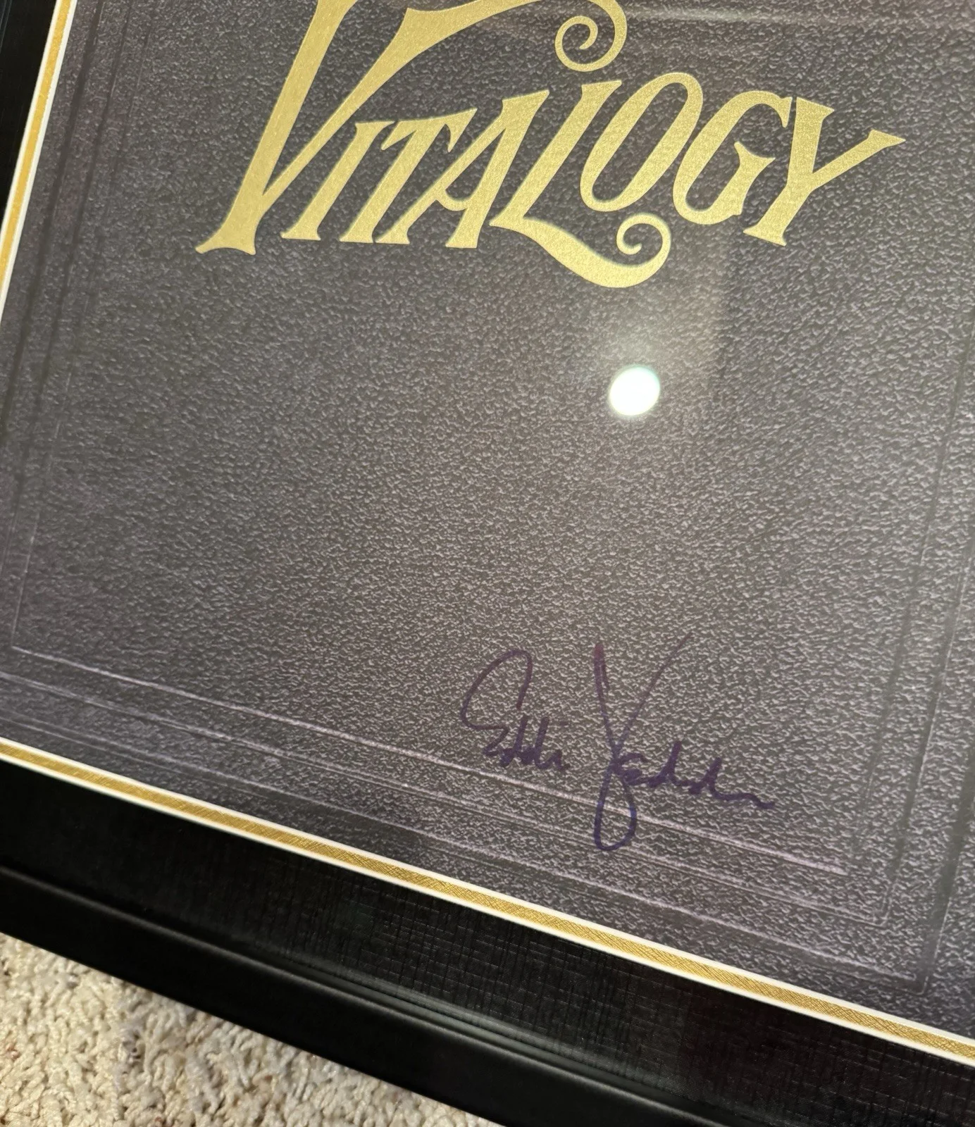 Pearl Jam Eddie Vedder Signed Framed Vitalogy Album Flat Poster Vinyl Record BAS, image 4