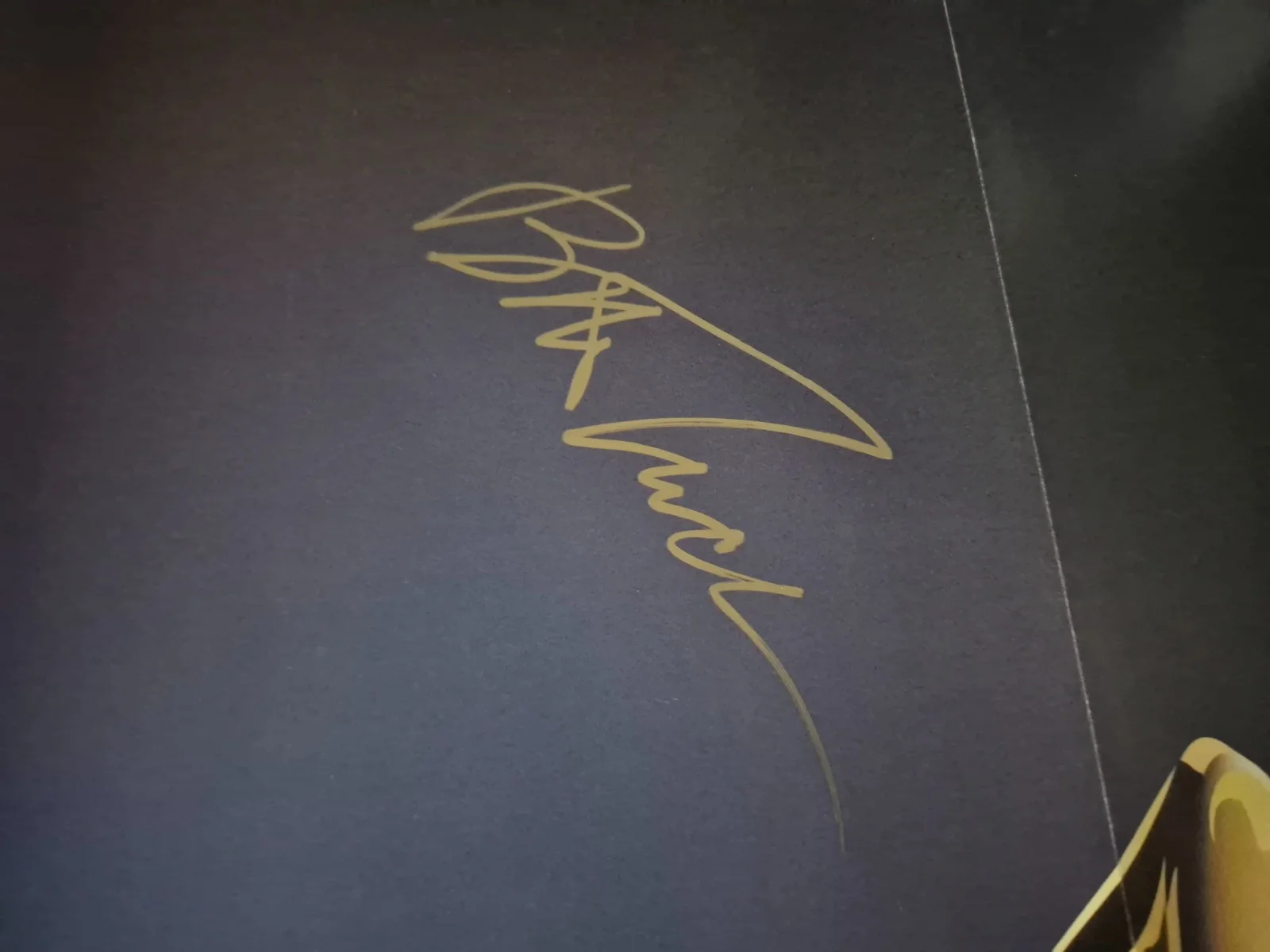 EKIM=INVENTORY — RUTHLESS PEOPLE -CAST SIGNED MOVIE POSTER-w/COA - ekim, image 5
