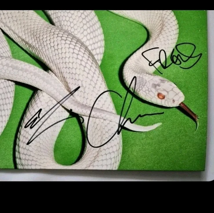 Deftones Signed Chino, Abe, Fred Private Music Vinyl Record RACC Bought 100%, изображение 3