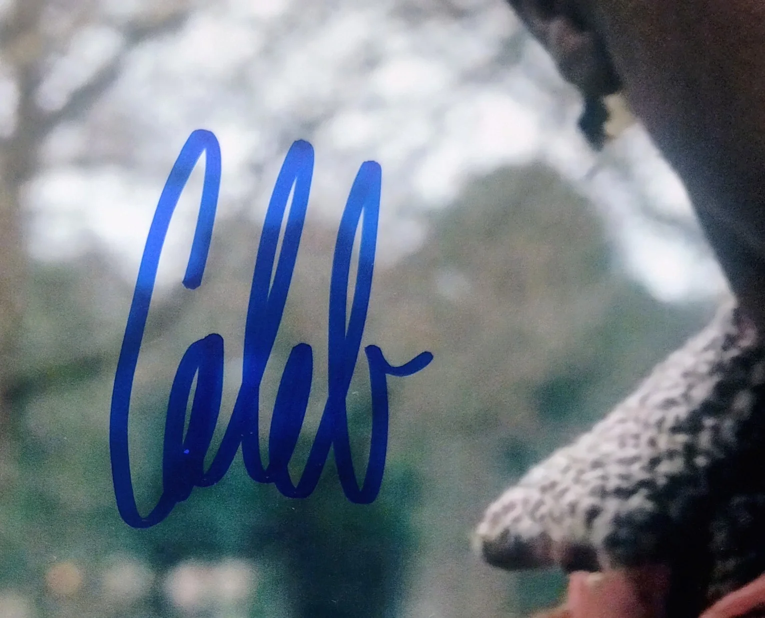 Caleb McLaughlin Hand Signed 8x10 Photo COA Stranger Things NO US TARIFFS, image 3