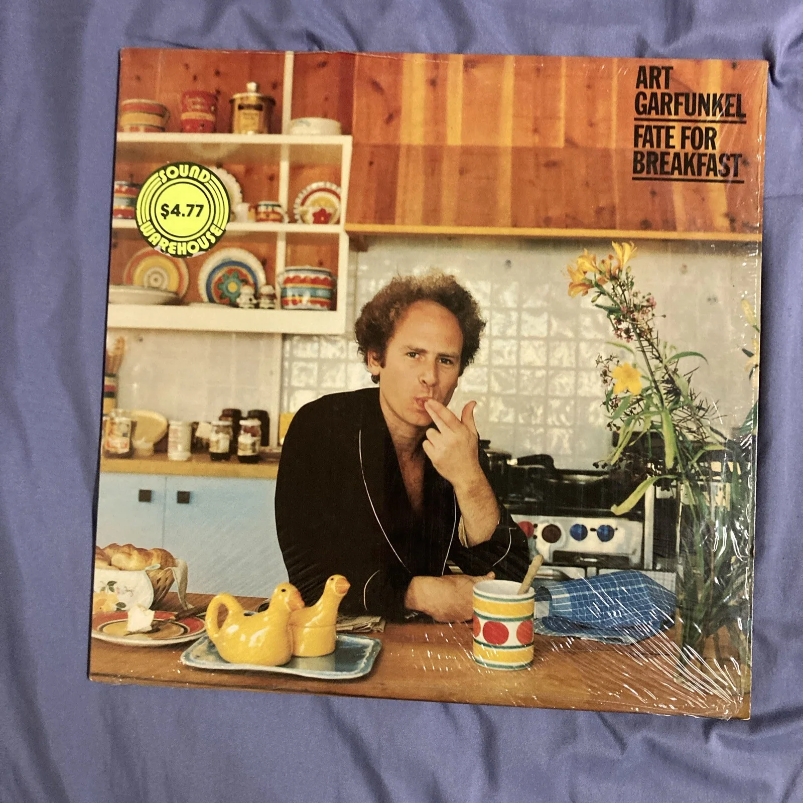 Art Garfunkel Vinyl Record LP Lot, image 2