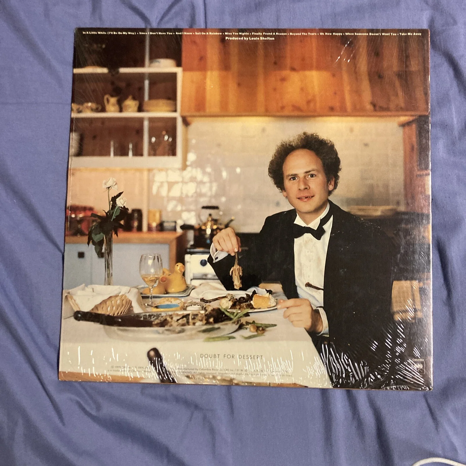 Art Garfunkel Vinyl Record LP Lot, image 3