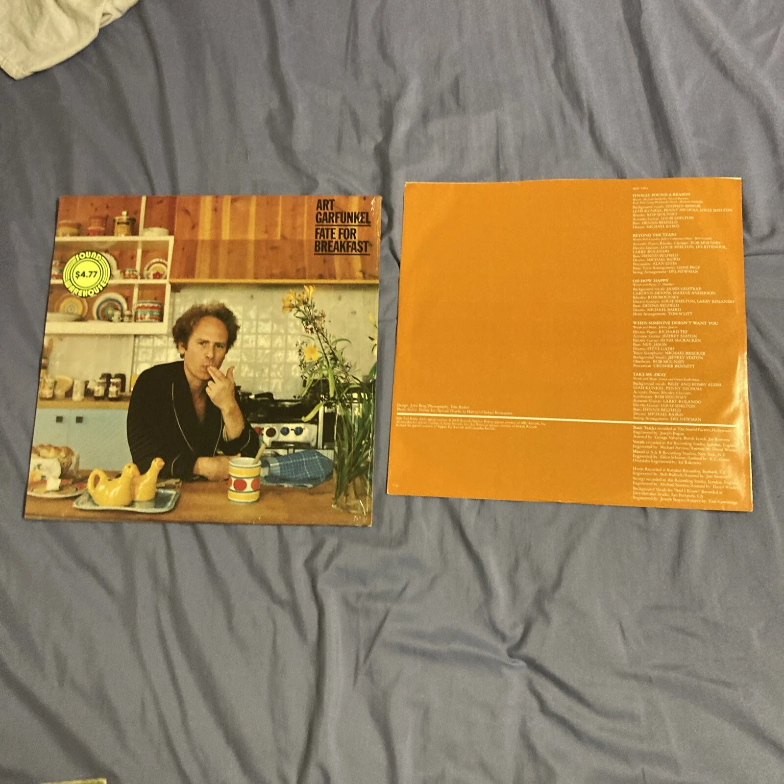 Art Garfunkel Vinyl Record LP Lot, image 4