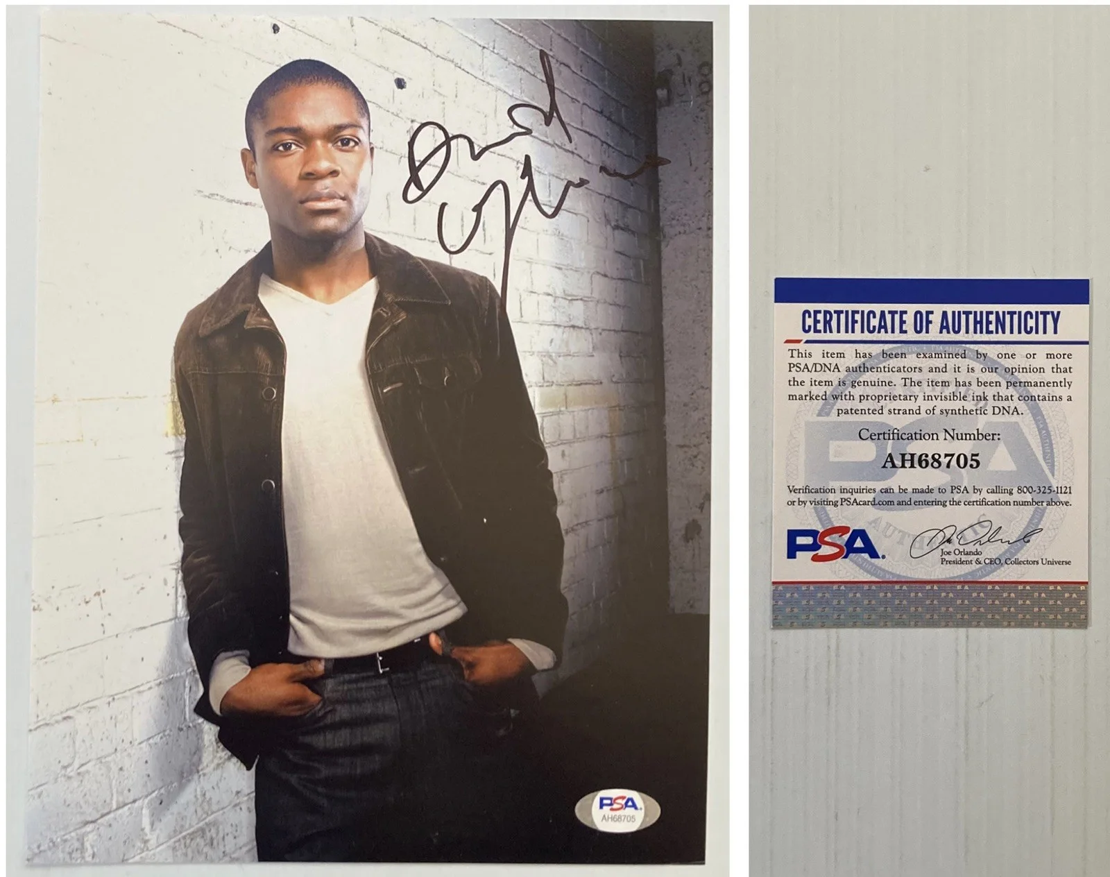 David Oyelowo — Selma MLK David Oyelowo Signed Autograph 8x10 Photo - PSA DNA Cert - FREE S&H!