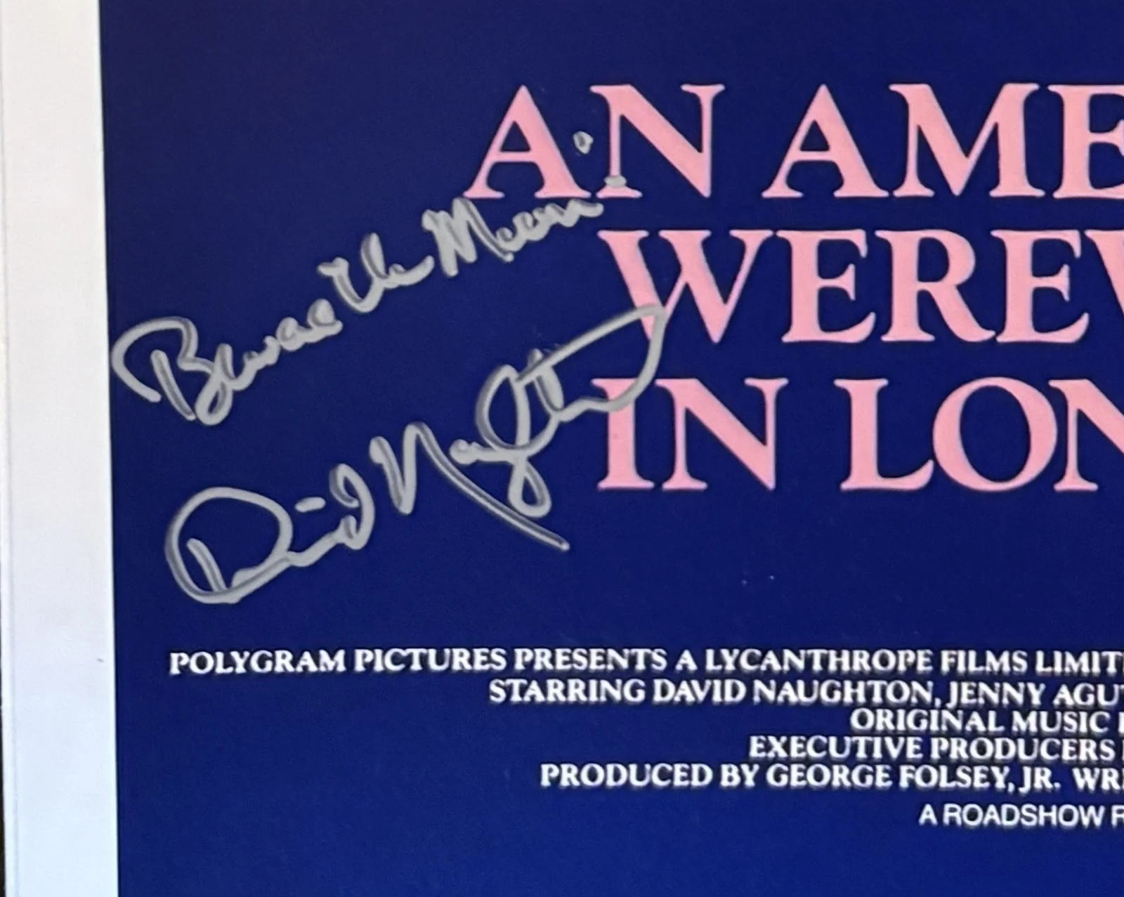 David Naughton — David Naughton Signed & Inscribed An American Werewolf in London 11x17 OCCM COA, изображение 2