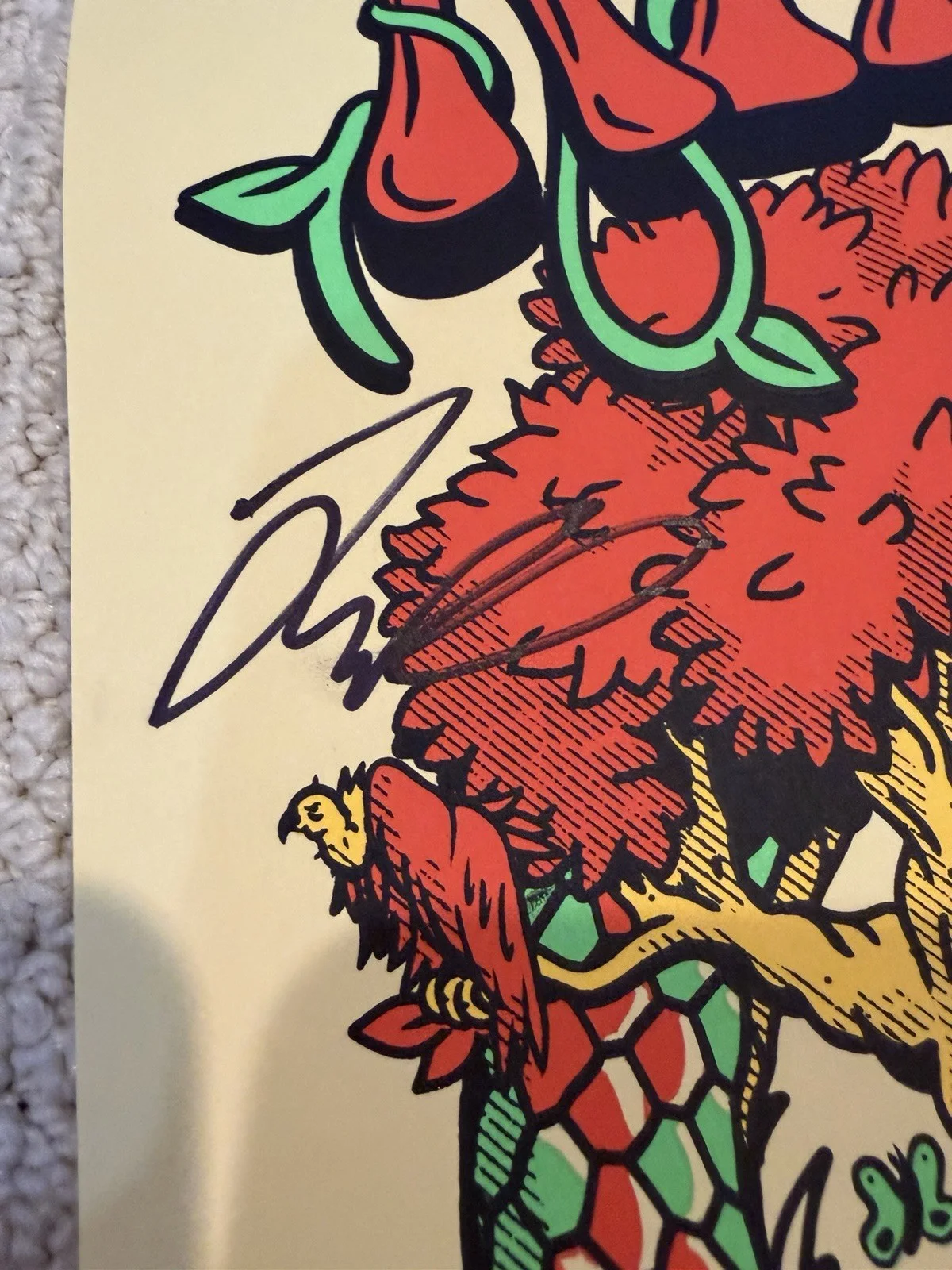 King Gizzard & The Lizard Wizard - Asheville 2022 Poster - SIGNED, изображение 4