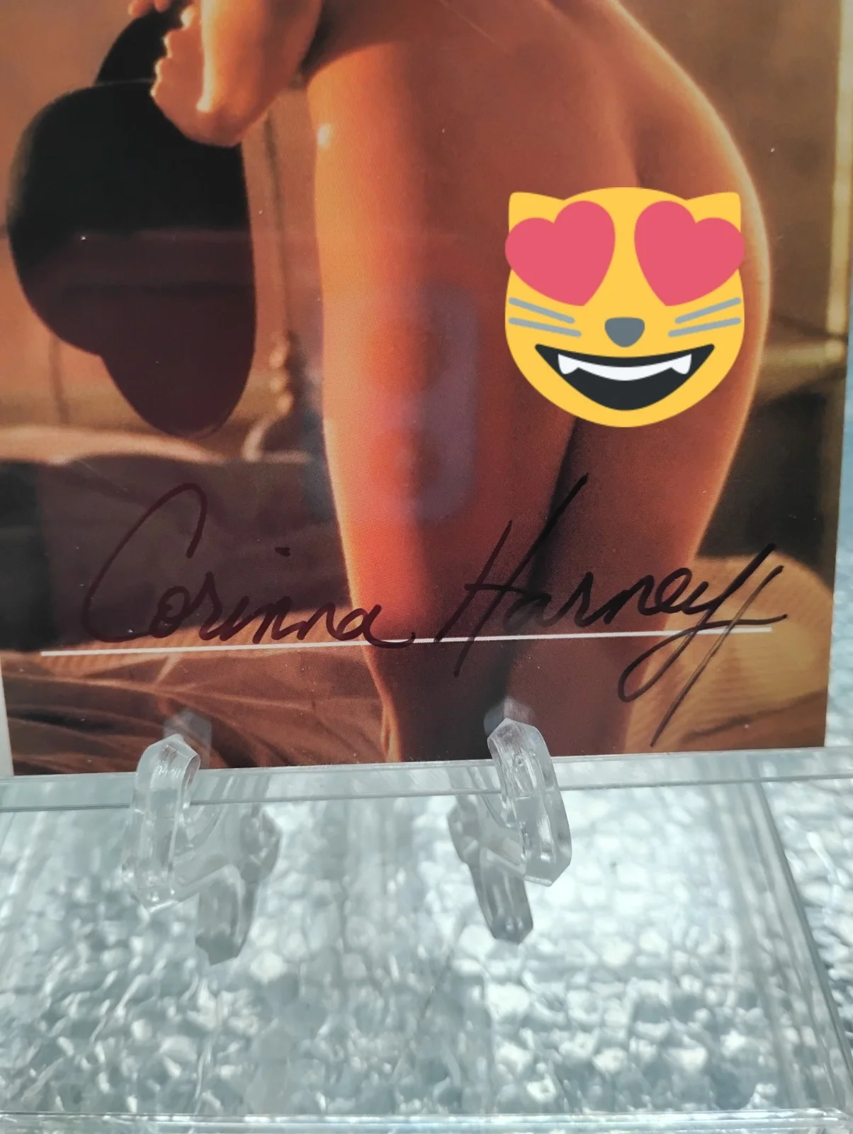 Corinna Harney — Corinna Harney Autographed 2000 Centerfolds of the Century Jumbo Card SEALED MNT, изображение 2