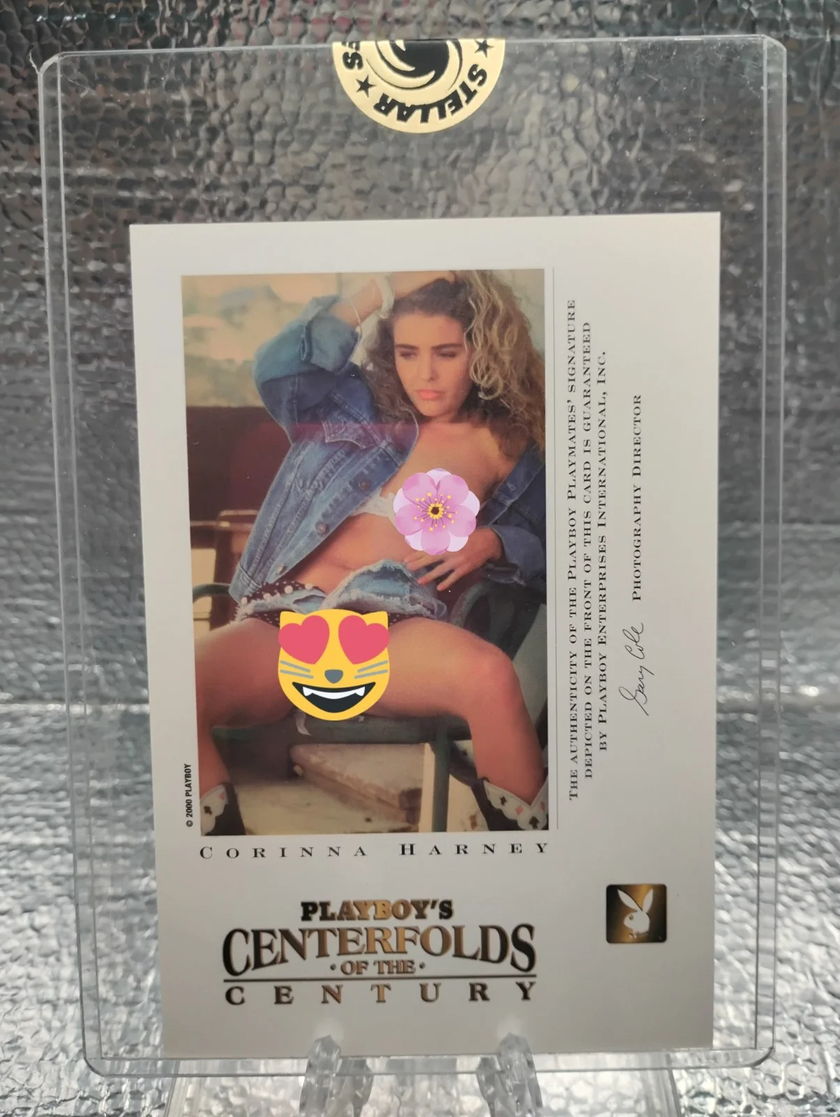 Corinna Harney — Corinna Harney Autographed 2000 Centerfolds of the Century Jumbo Card SEALED MNT, изображение 3