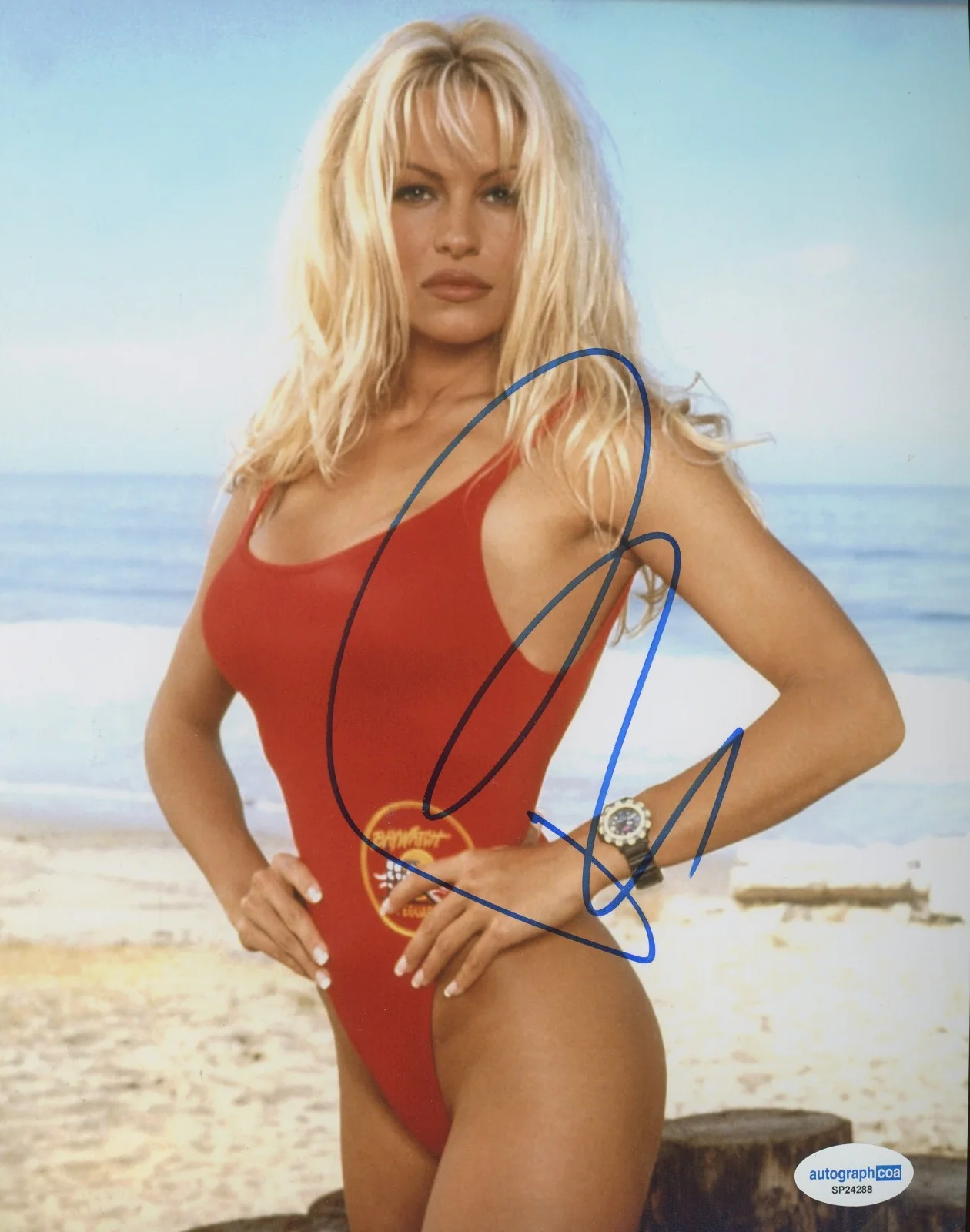 Pamela Anderson — Pamela Anderson Signed Autographed BAYWATCH 8x10 Photo EXACT Proof ACOA A, изображение 2