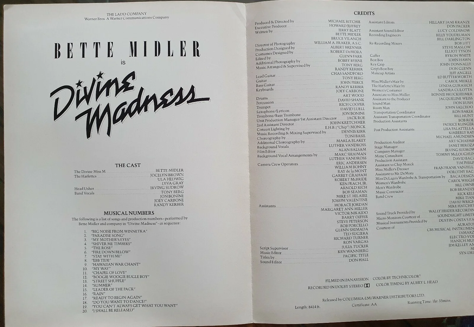 DIVINE MADNESS - VINTAGE ORIGINAL PRESS INFO SYNOPSIS BOOKLET - BETTE MIDLER, image 2