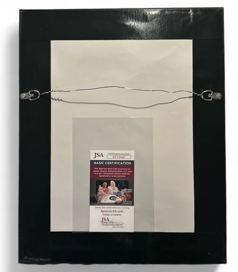 Post Malone Signed 8x10 Framed Photo Double Matted JSA Authenticated, image 4