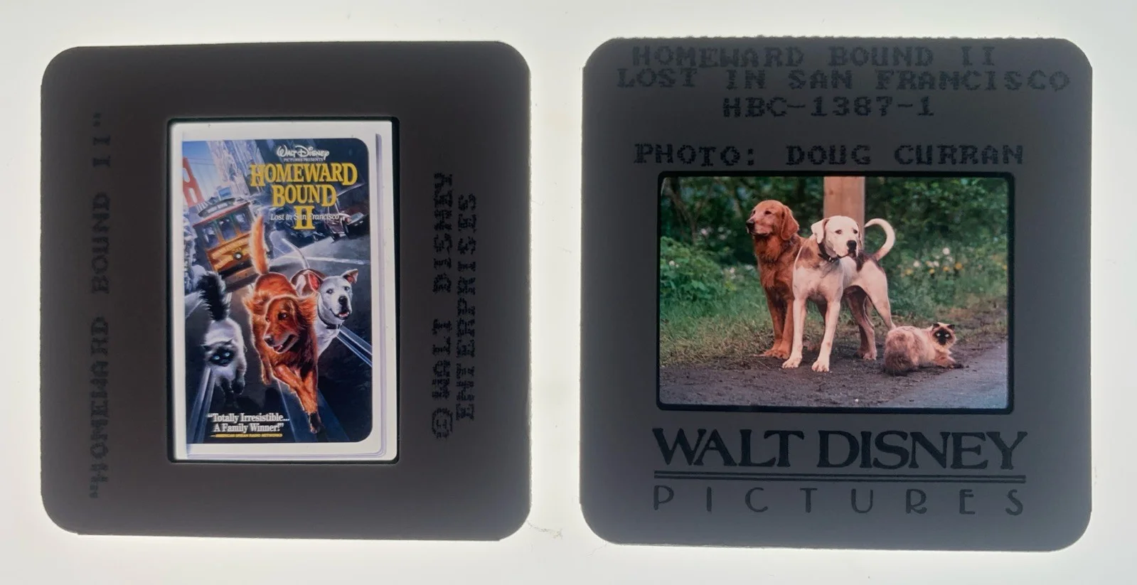 HOMEWARD BOUND II LOST IN SAN FRANCISCO 1996 35mm Publicity Slides x2, image 2