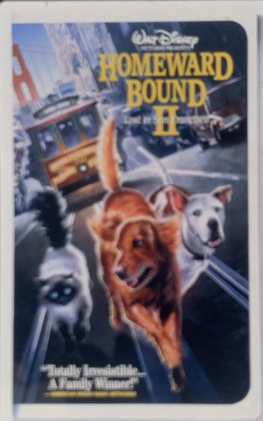 HOMEWARD BOUND II LOST IN SAN FRANCISCO 1996 35mm Publicity Slides x2, image 3
