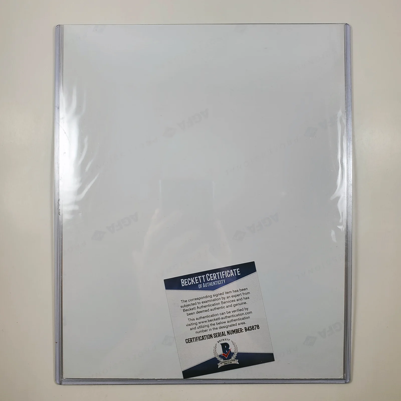Nicolette Sheridan — Nicolette Sheridan Signed Autographed 8x10 Color Photo in Toploader Beckett COA, изображение 2