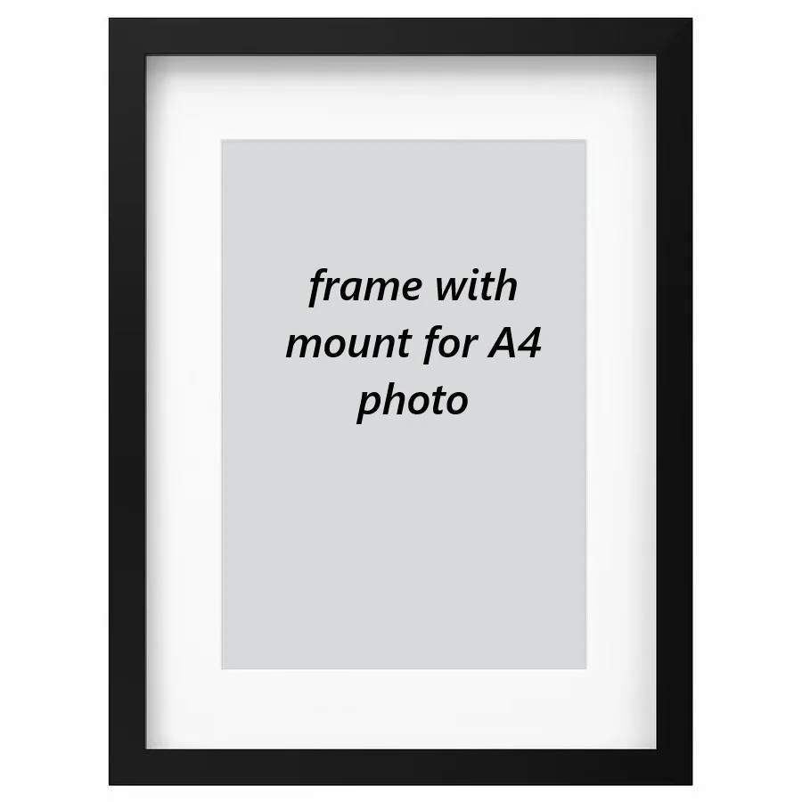 A3 A4 Photo Signed By David Tennant In Doctor Who (1), image 2