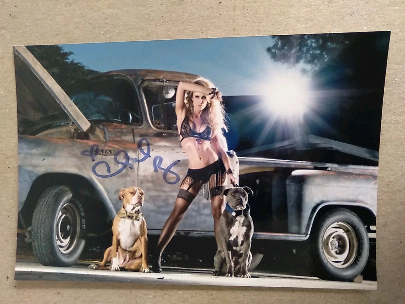 Chanel Ryan Actress And Model Signed Autograph 6x4in Photo, изображение 2