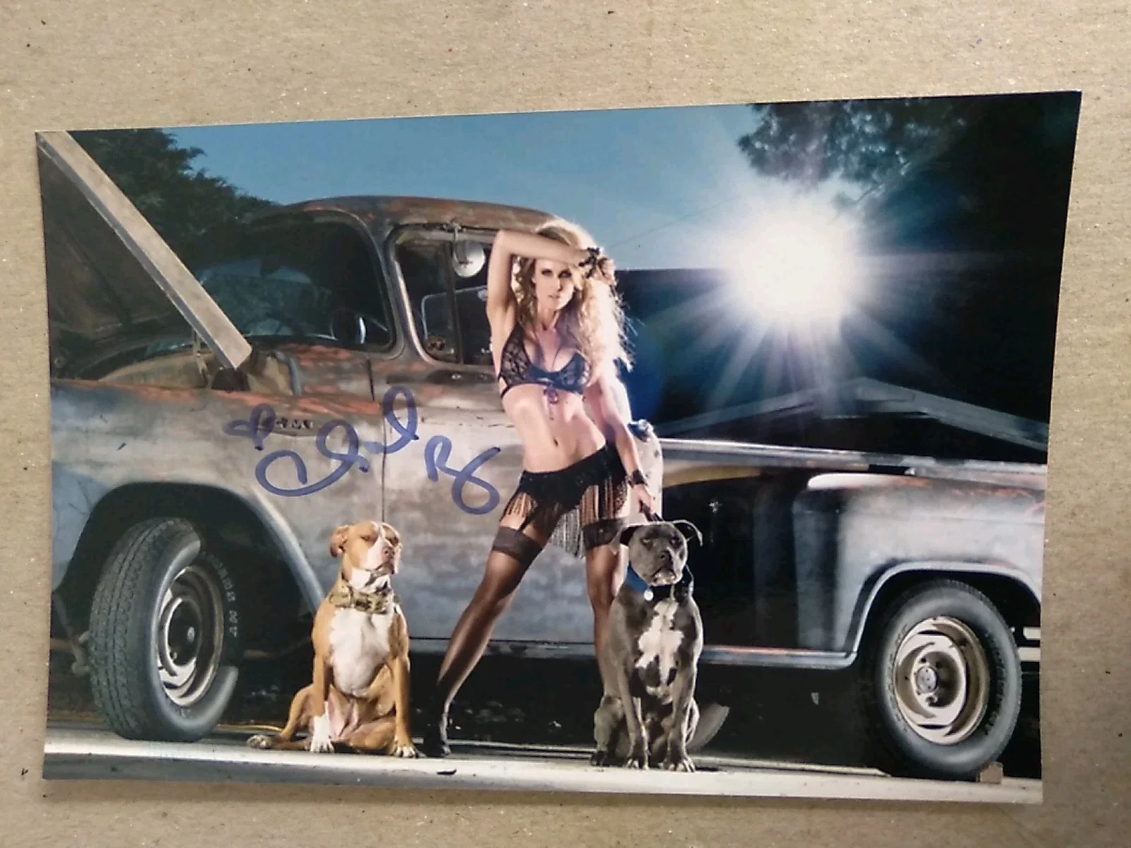 Chanel Ryan Actress And Model Signed Autograph 6x4in Photo, изображение 3