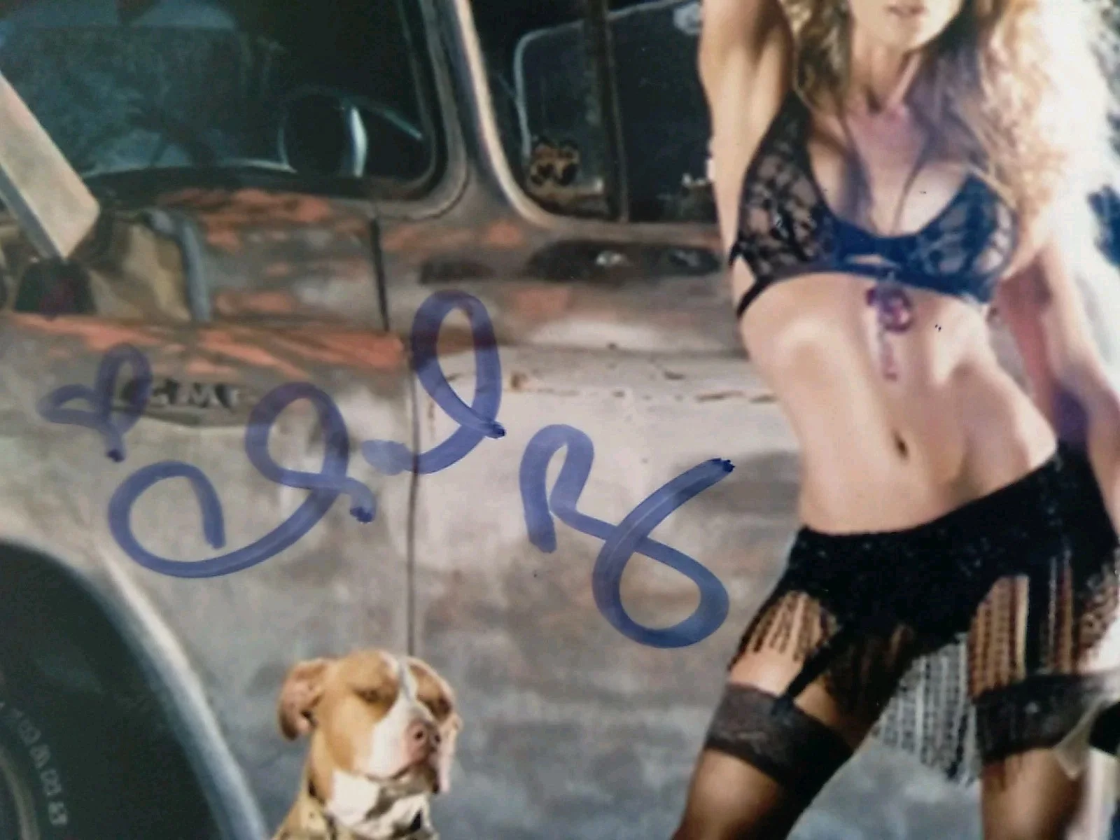 Chanel Ryan Actress And Model Signed Autograph 6x4in Photo, изображение 4