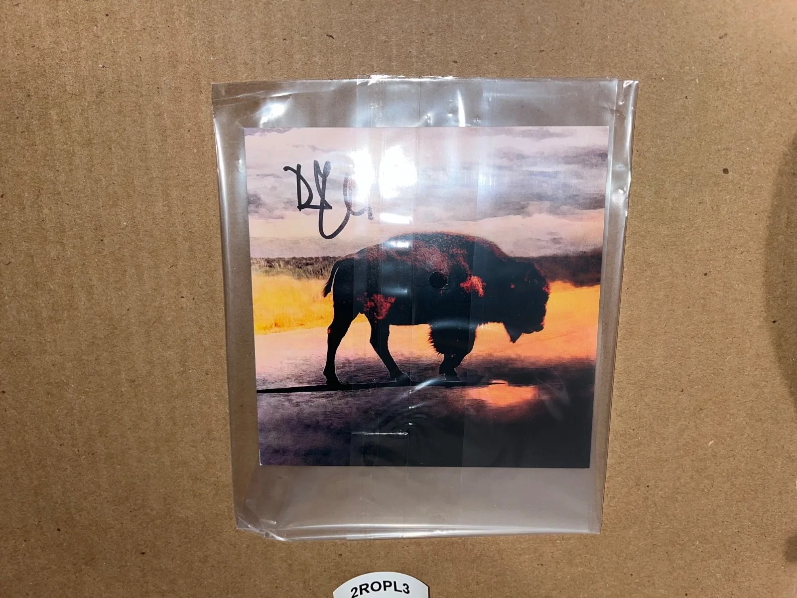 Led Zeppelin Robert Plant Signed Autographed CD Saving Grace, image 2