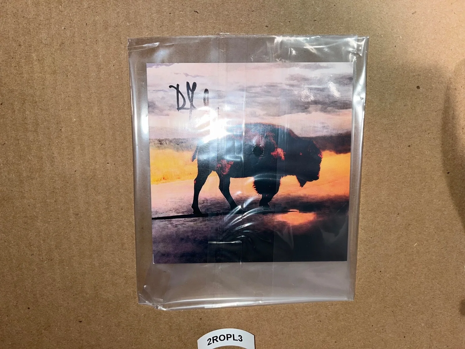 Led Zeppelin Robert Plant Signed Autographed CD Saving Grace, image 4