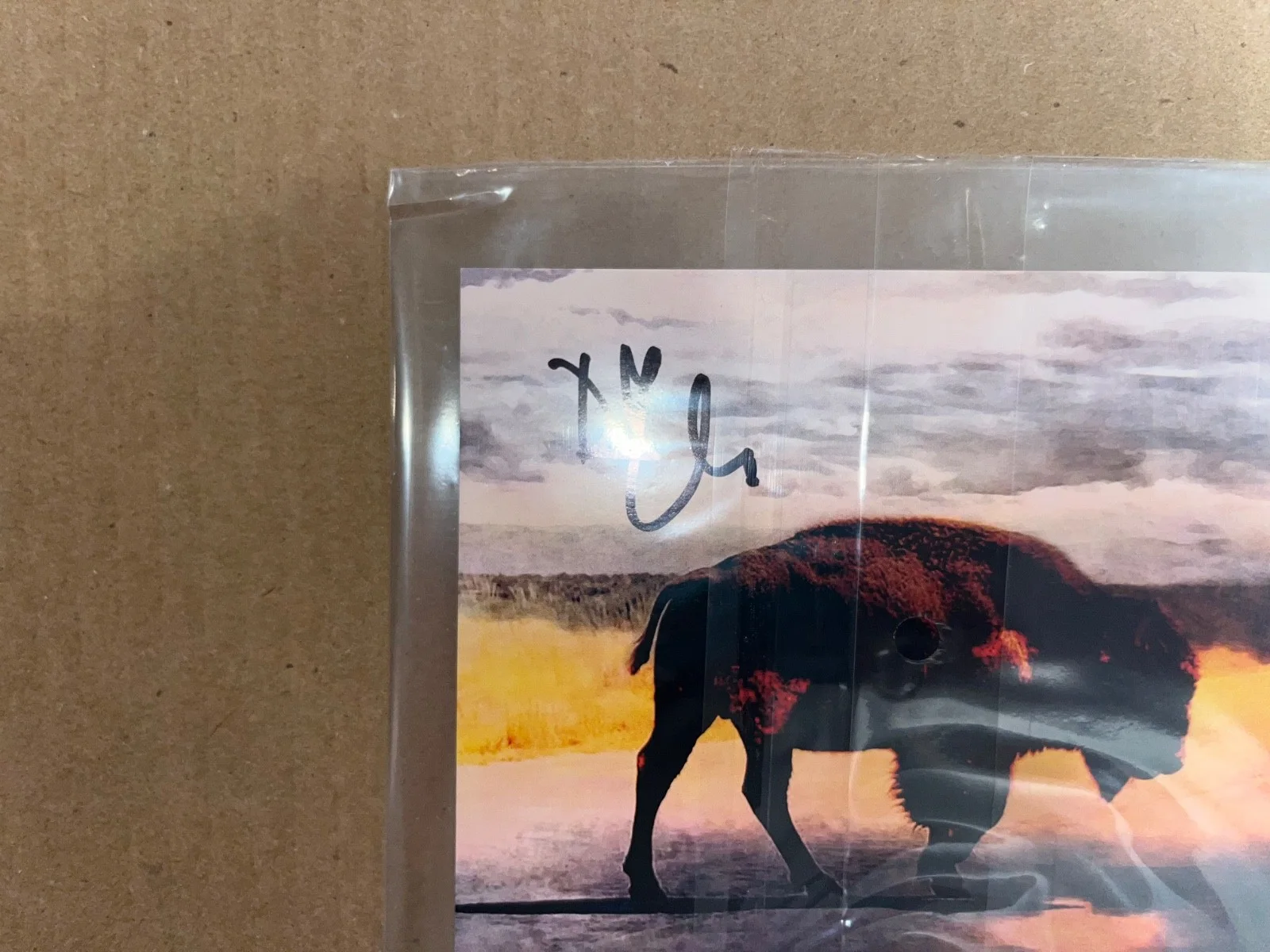 Led Zeppelin Robert Plant Signed Autographed CD Saving Grace, image 5