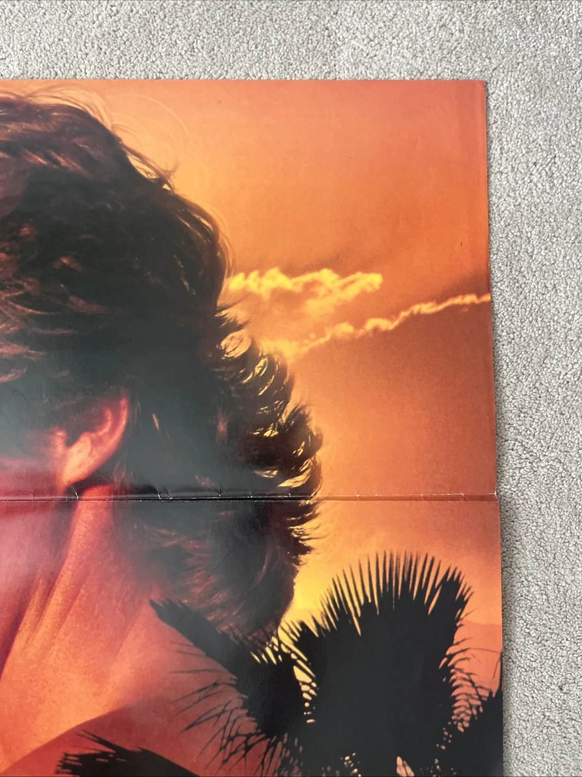 Return To The Blue Lagoon (1991) Original US One Sheet Cinema Poster, изображение 4