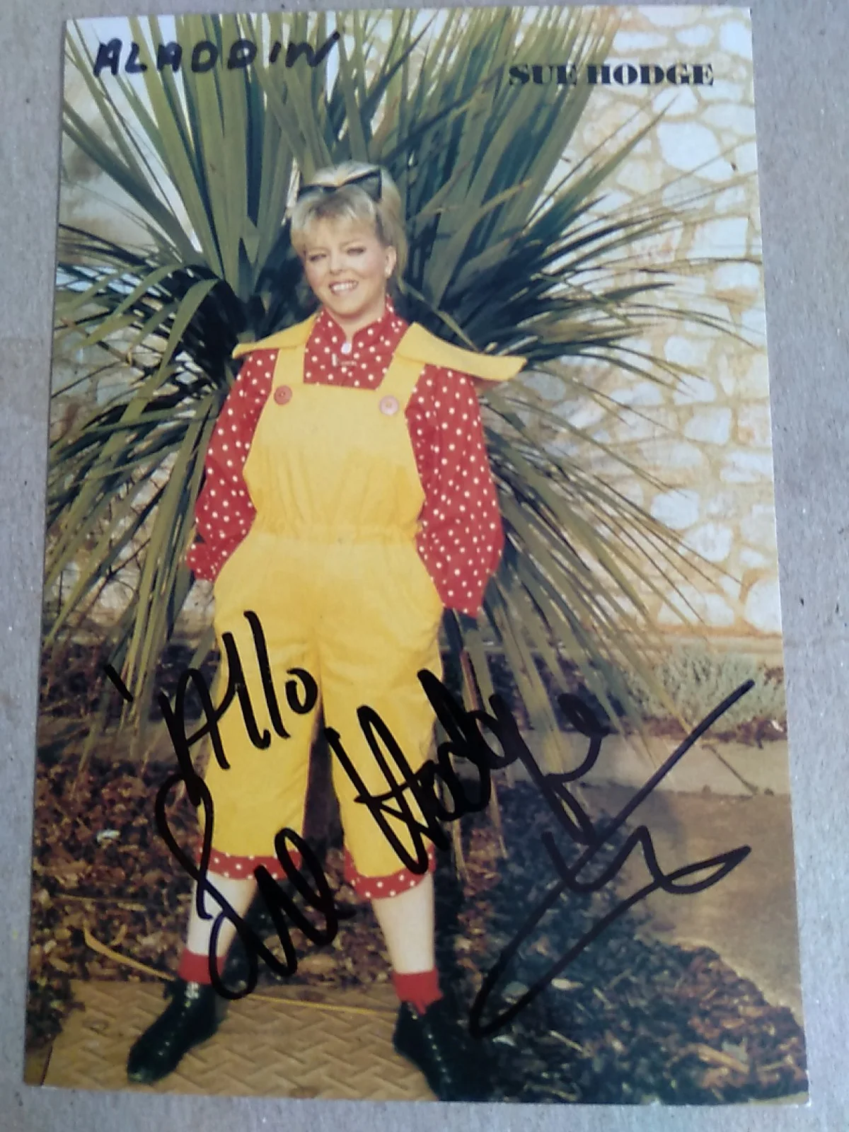 Sue Hodge British Actress Signed Autograph 6x4in Photo Mimi Labonq -'Alo'Alo!, изображение 2