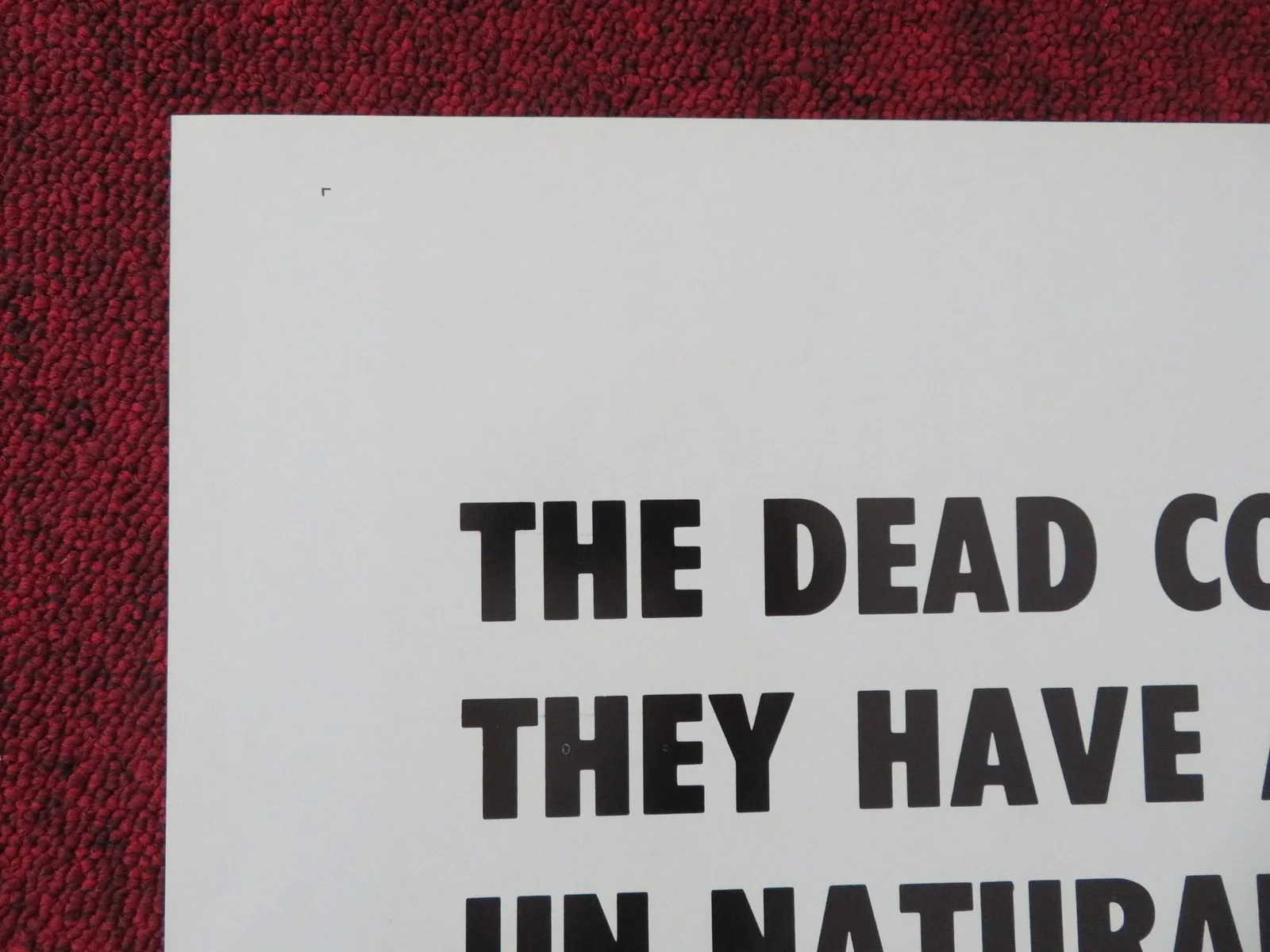 Corpse Eaters Folded US One Sheet Poster Michael Hopkins Ed LeBreton 1974, изображение 5