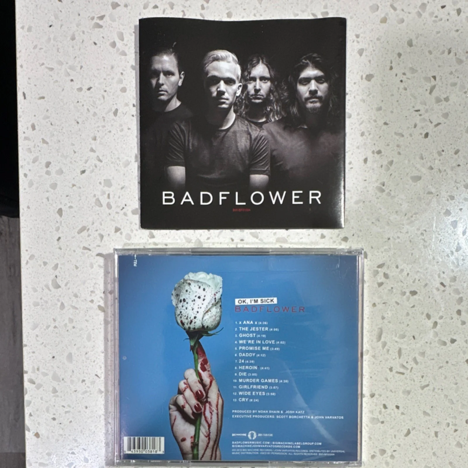 Signed Badflower OK I’m Sick Album Cover + CD Autographed Band Rock Rare, image 2
