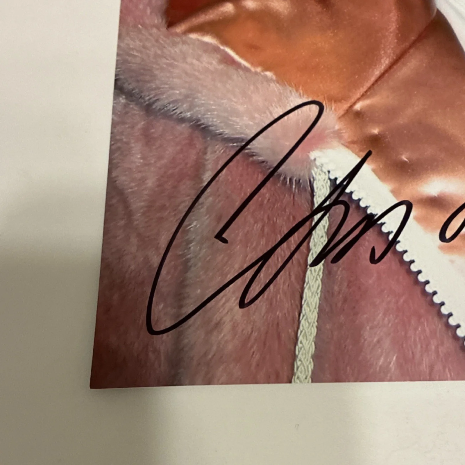 Cam’ron “Killa Cam” Dipset Hip-Hop Rapper Autograph 8x10 (proof pic), image 4