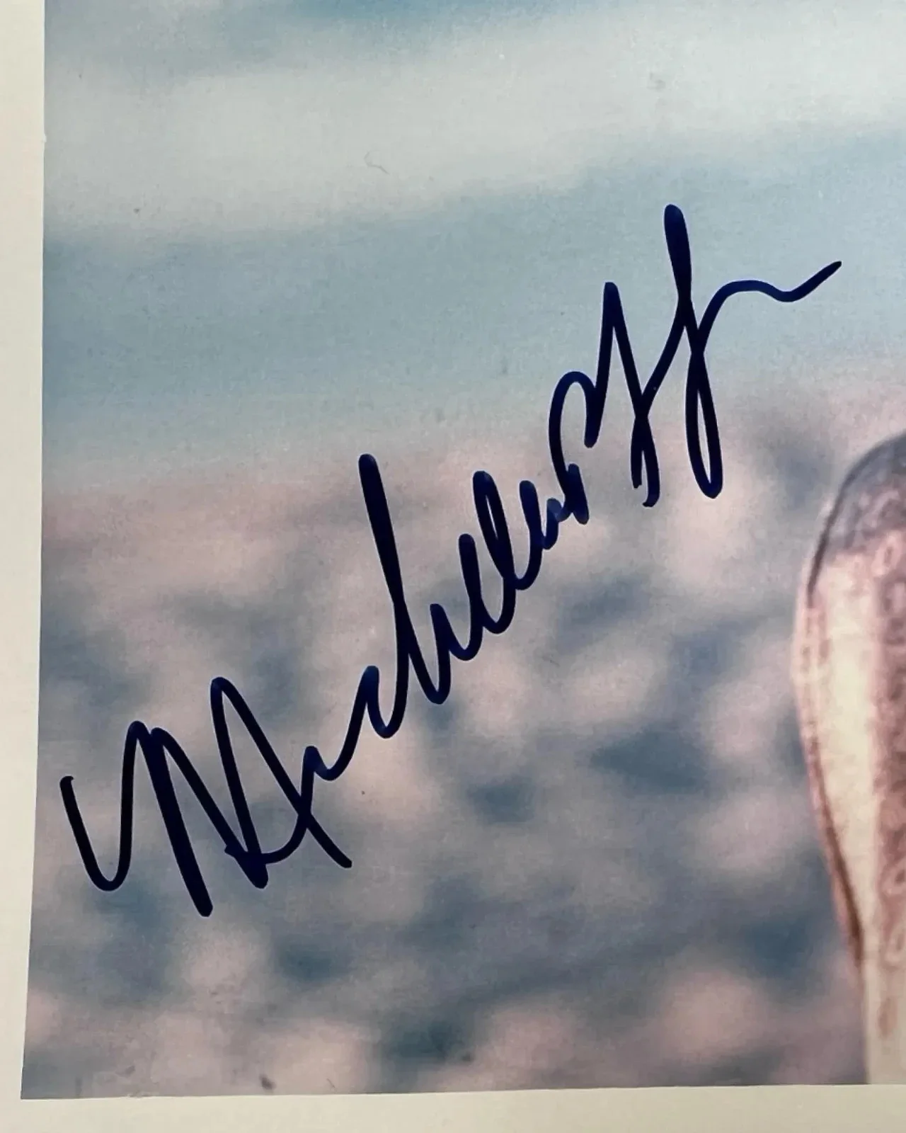 Michelle Pfeiffer — Vintage 1988 Michelle Pfeiffer Signed Color 8x10 Photo " Tequila Sunrise", изображение 2