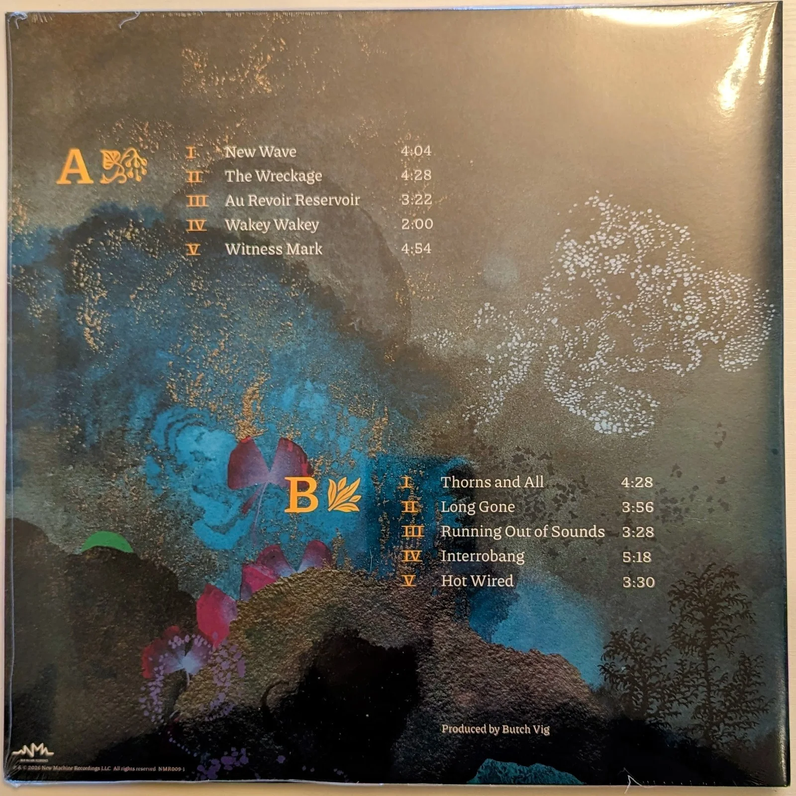 Signed Silversun Pickups Tenterhooks Exclusive Blue Marble Vinyl LP New, Sealed, изображение 2
