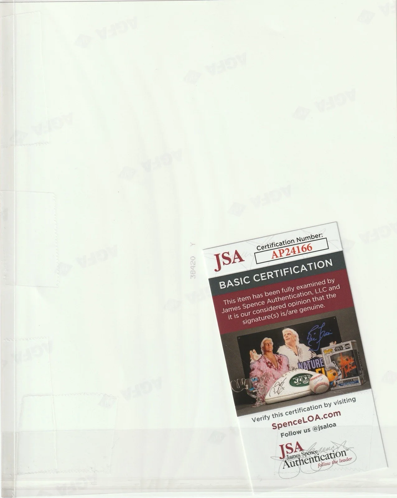 Angelina Jolie — Angelina Jolie Signed Index Card JSA Cert Not PSA BAS Free 8x10 Tomb Raider, image 2