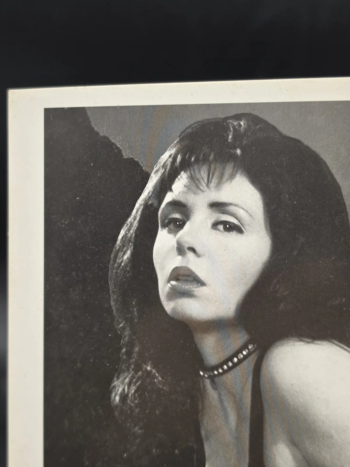 Retromedia Entertainment Miss Kim Autographed Signed 8x10 Promo Photo Niteowl, изображение 2